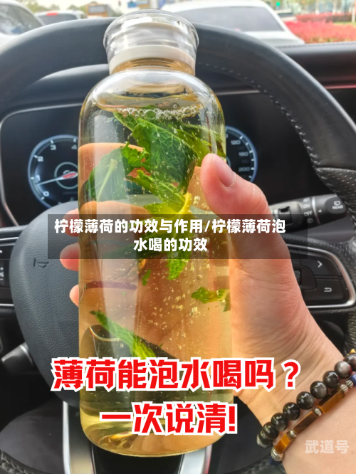 柠檬薄荷的功效与作用/柠檬薄荷泡水喝的功效