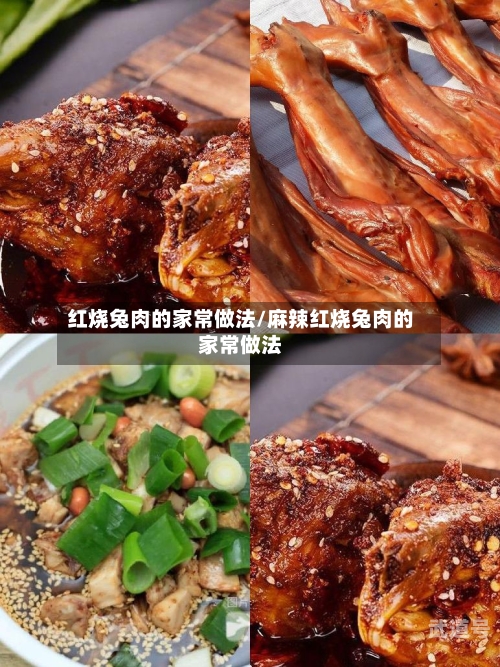 红烧兔肉的家常做法/麻辣红烧兔肉的家常做法