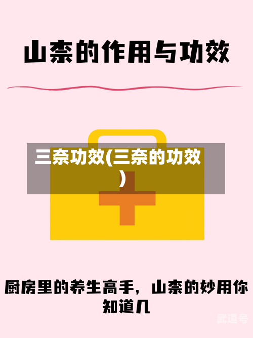 三奈功效(三奈的功效)