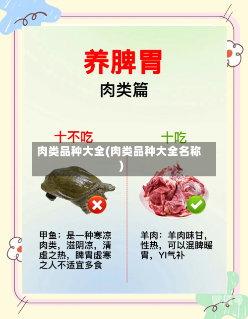 肉类品种大全(肉类品种大全名称)