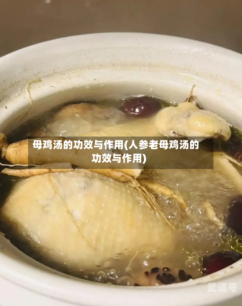 母鸡汤的功效与作用(人参老母鸡汤的功效与作用)