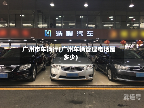 广州市车辆行(广州车辆管理电话是多少)