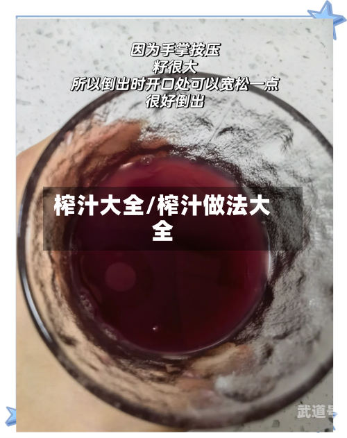 榨汁大全/榨汁做法大全