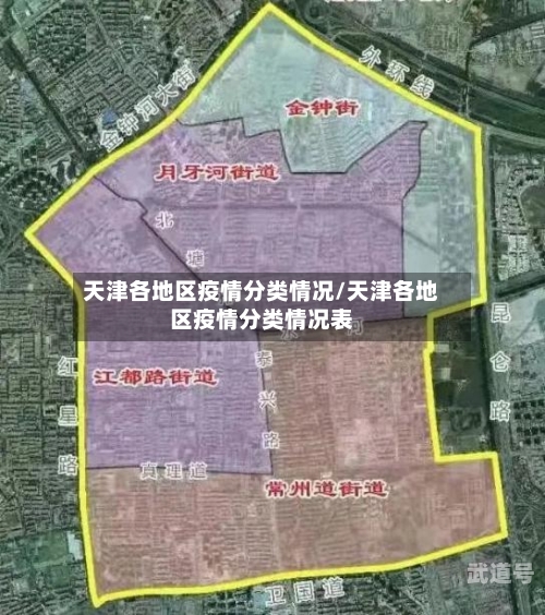 天津各地区疫情分类情况/天津各地区疫情分类情况表