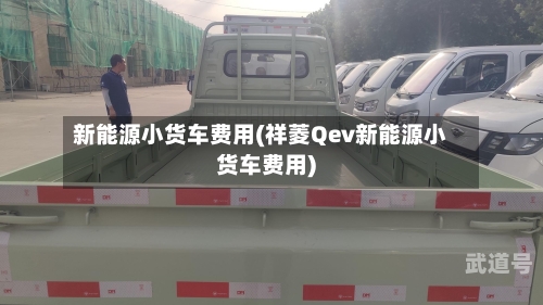 新能源小货车费用(祥菱Qev新能源小货车费用)