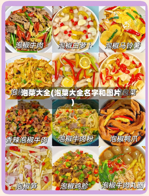 泡菜大全(泡菜大全名字和图片)