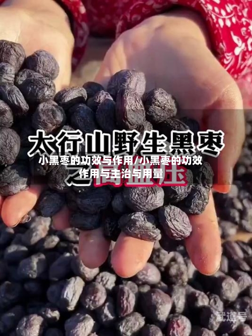小黑枣的功效与作用/小黑枣的功效作用与主治与用量