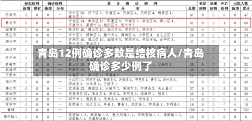 青岛12例确诊多数是结核病人/青岛确诊多少例了