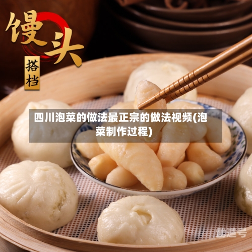 四川泡菜的做法最正宗的做法视频(泡菜制作过程)