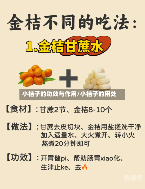 小桔子的功效与作用/小桔子的用处