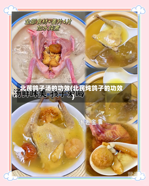 北芪鸽子汤的功效(北芪炖鸽子的功效)