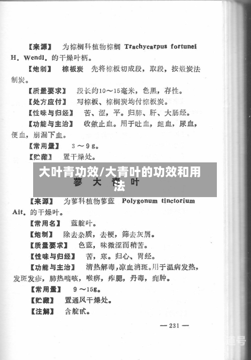 大叶青功效/大青叶的功效和用法