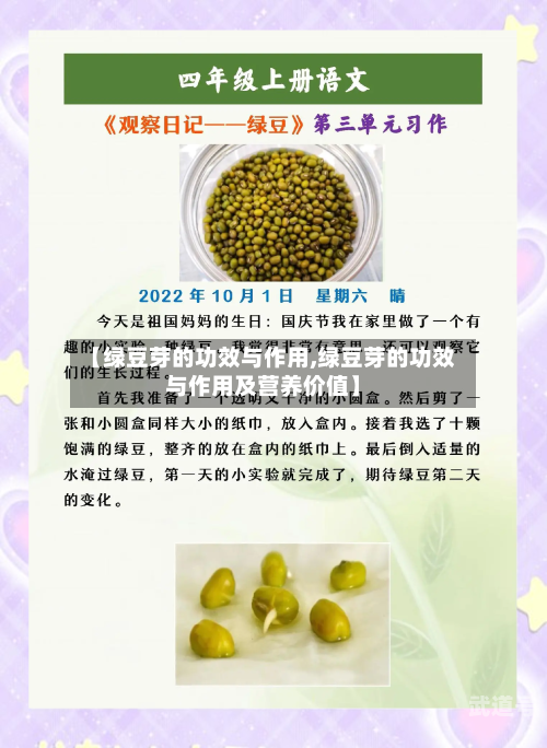 【绿豆芽的功效与作用,绿豆芽的功效与作用及营养价值】