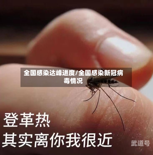 全国感染达峰进度/全国感染新冠病毒情况