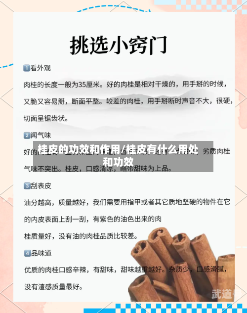 桂皮的功效和作用/桂皮有什么用处和功效