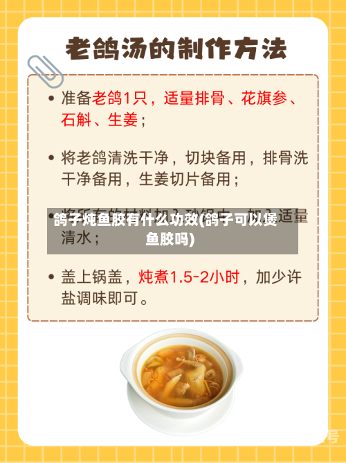 鸽子炖鱼胶有什么功效(鸽子可以煲鱼胶吗)