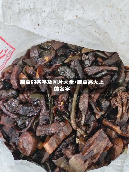 咸菜的名字及图片大全/咸菜高大上的名字