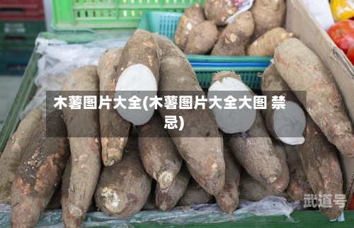 木薯图片大全(木薯图片大全大图 禁忌)