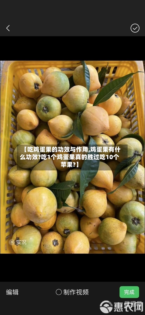 【吃鸡蛋果的功效与作用,鸡蛋果有什么功效?吃1个鸡蛋果真的胜过吃10个苹果?】