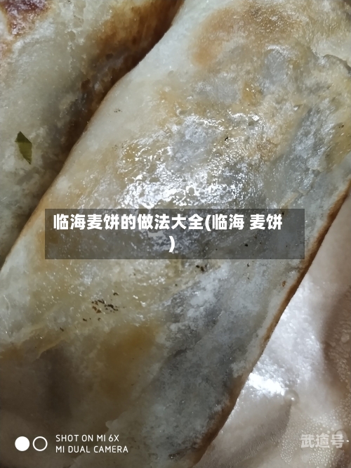 临海麦饼的做法大全(临海 麦饼)
