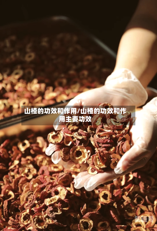 山楂的功效和作用/山楂的功效和作用主要功效