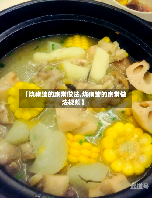 【烧猪蹄的家常做法,烧猪蹄的家常做法视频】