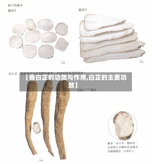 【香白芷的功效与作用,白芷的主要功效】
