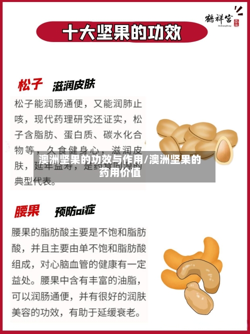澳洲坚果的功效与作用/澳洲坚果的药用价值
