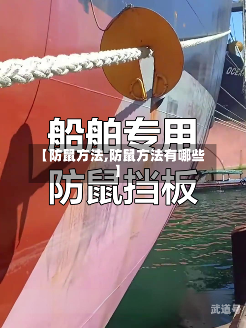 【防鼠方法,防鼠方法有哪些】