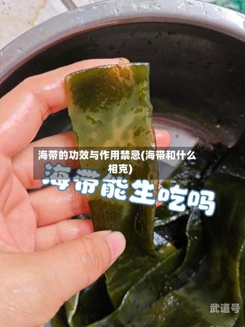 海带的功效与作用禁忌(海带和什么相克)