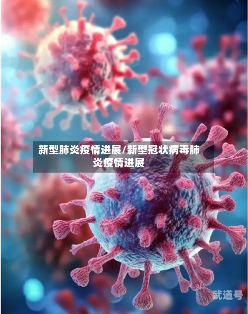 新型肺炎疫情进展/新型冠状病毒肺炎疫情进展