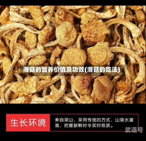 滑菇的营养价值及功效(滑菇的吃法)