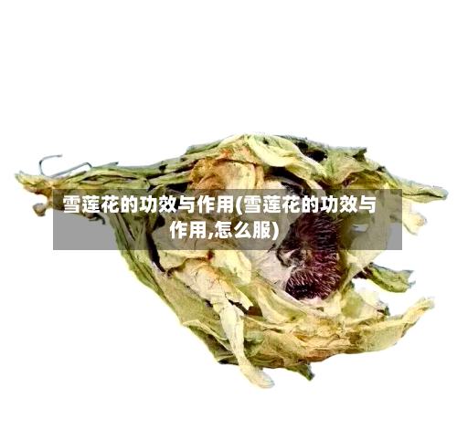 雪莲花的功效与作用(雪莲花的功效与作用,怎么服)