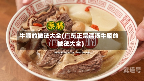 牛腩的做法大全(广东正宗清汤牛腩的做法大全)