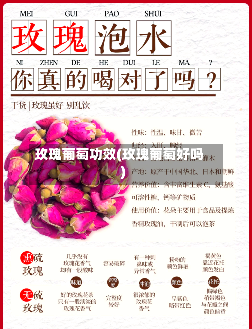 玫瑰葡萄功效(玫瑰葡萄好吗)