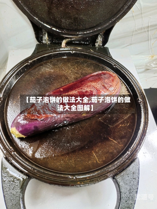 【茄子泡饼的做法大全,茄子泡饼的做法大全图解】