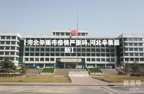 【河北辛集市疫情严重吗,河北辛集最新】