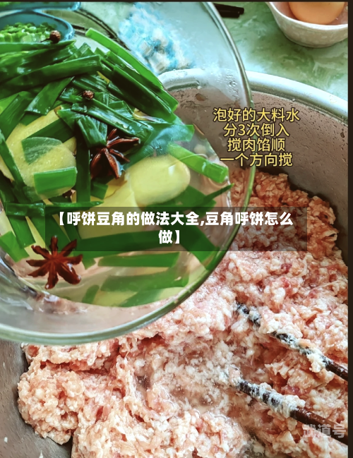 【呼饼豆角的做法大全,豆角呼饼怎么做】