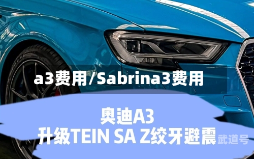 a3费用/Sabrina3费用