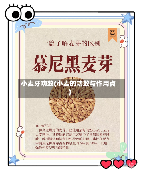 小麦牙功效(小麦的功效与作用点)