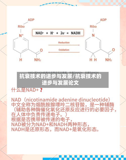 抗衰技术的进步与发展/抗衰技术的进步与发展论文