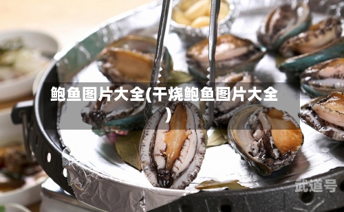 鲍鱼图片大全(干烧鲍鱼图片大全)