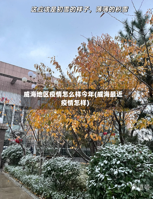 威海地区疫情怎么样今年(威海最近疫情怎样)