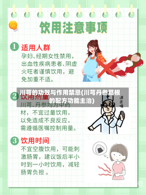 川芎的功效与作用禁忌(川芎丹参葛根的配方功能主治)