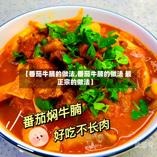 【番茄牛腩的做法,番茄牛腩的做法 最正宗的做法】