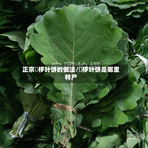 正宗桲椤叶饼的做法/桲椤叶饼是哪里特产