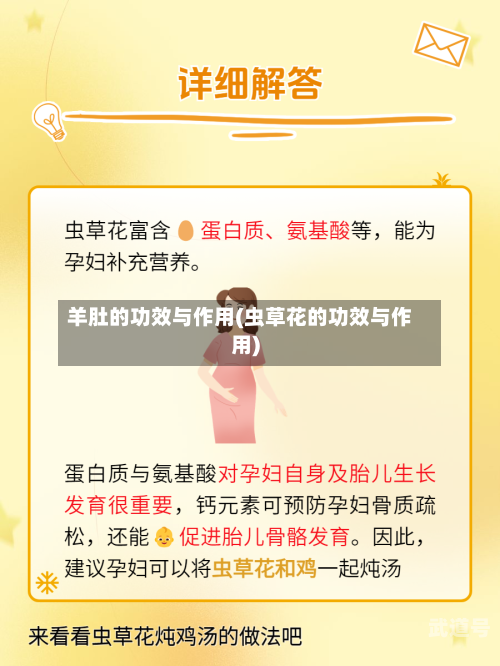 羊肚的功效与作用(虫草花的功效与作用)