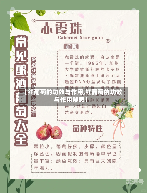 【红葡萄的功效与作用,红葡萄的功效与作用禁忌】