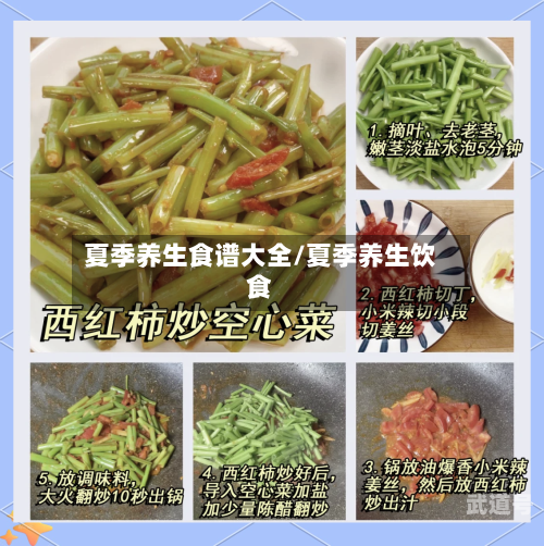 夏季养生食谱大全/夏季养生饮食