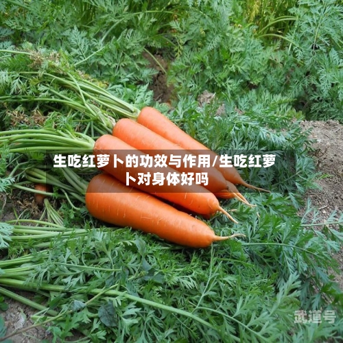 生吃红萝卜的功效与作用/生吃红萝卜对身体好吗